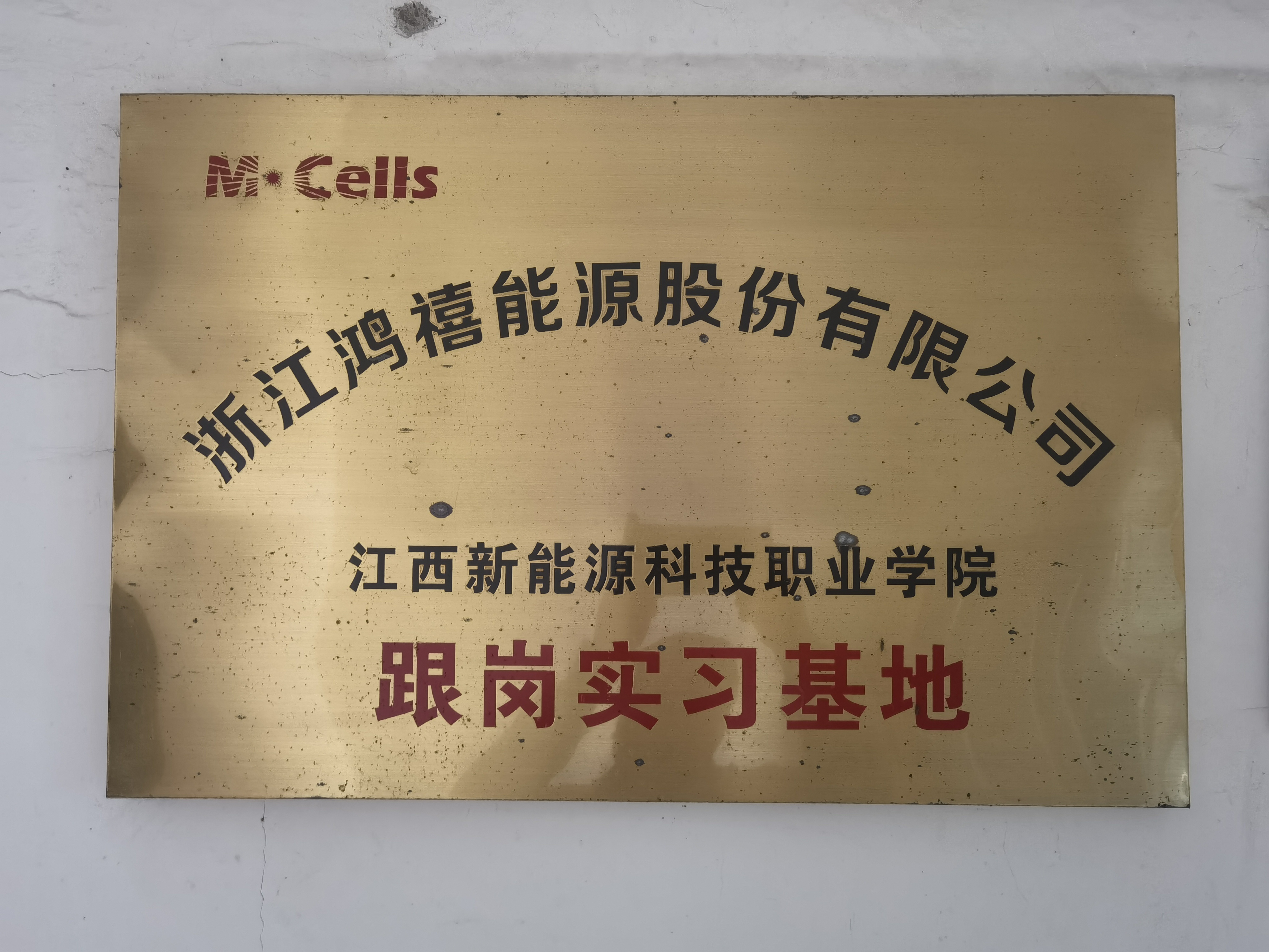 浙江鴻禧.jpg
